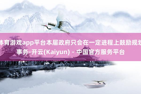 体育游戏app平台本届政府只会在一定进程上鼓励规划事务-开云(Kaiyun) - 中国官方服务平台