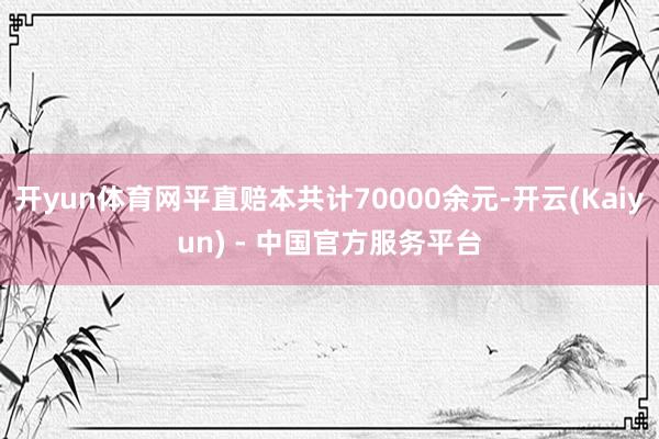 开yun体育网平直赔本共计70000余元-开云(Kaiyun) - 中国官方服务平台