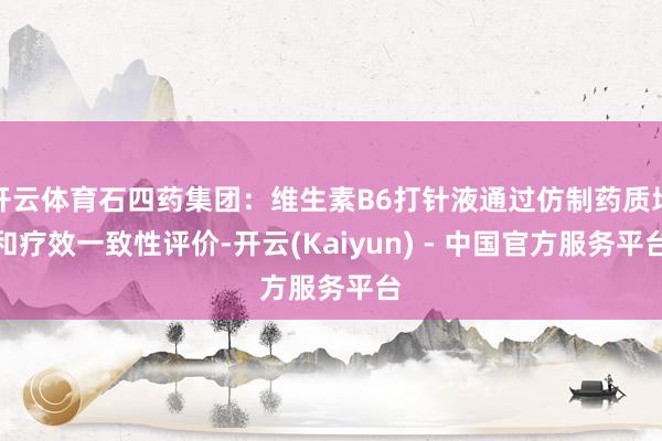 开云体育石四药集团：维生素B6打针液通过仿制药质地和疗效一致性评价-开云(Kaiyun) - 中国官方服务平台